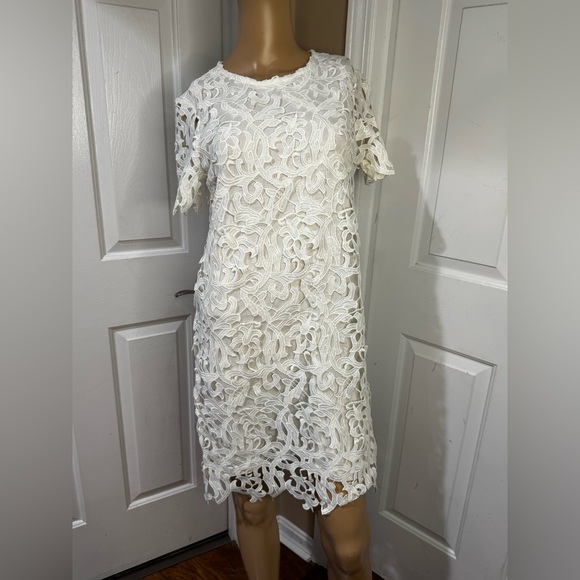 Zara White Sheath Lace Midi Dress with Flutter Sleeves sz small - Picture 1 of 9